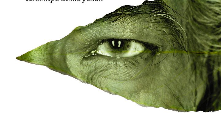 Лавр