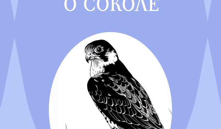 Песня о Соколе