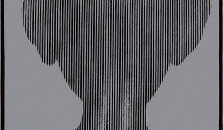 Подранки